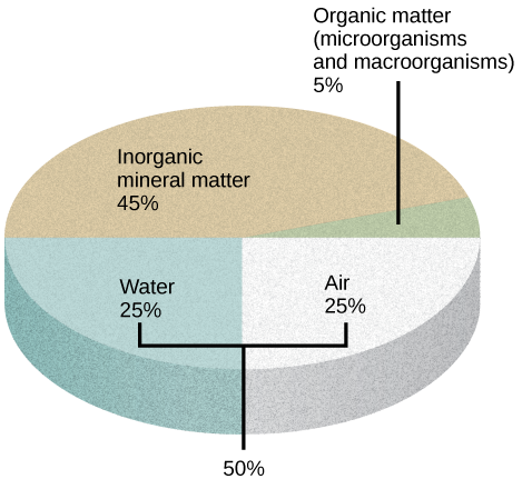 Illustration shows a pie graph that outlines the composition of soil. Forty-five percent is inorganic mineral matter, 25 percent is water, 25 percent is air, and 5 percent is organic matter, including microorganisms and macroorganisms.