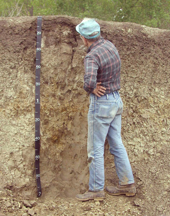 Photo shows a man standing next to a wall of soil in a pit that is as deep as he is tall.