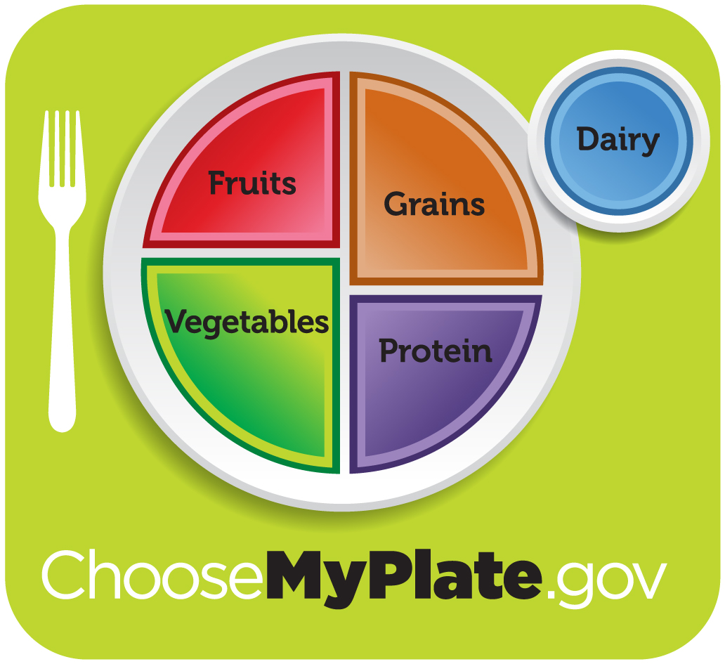 Healthy diet logo shows a plate divided into four sections, labeled “fruits”, “vegetables” “grains,” and “protein”. The vegetables section is slightly larger than the other three. A circle to the side of the plate is labeled “dairy”. Beneath the plate is the web address “Choose My Plate dot gov”.