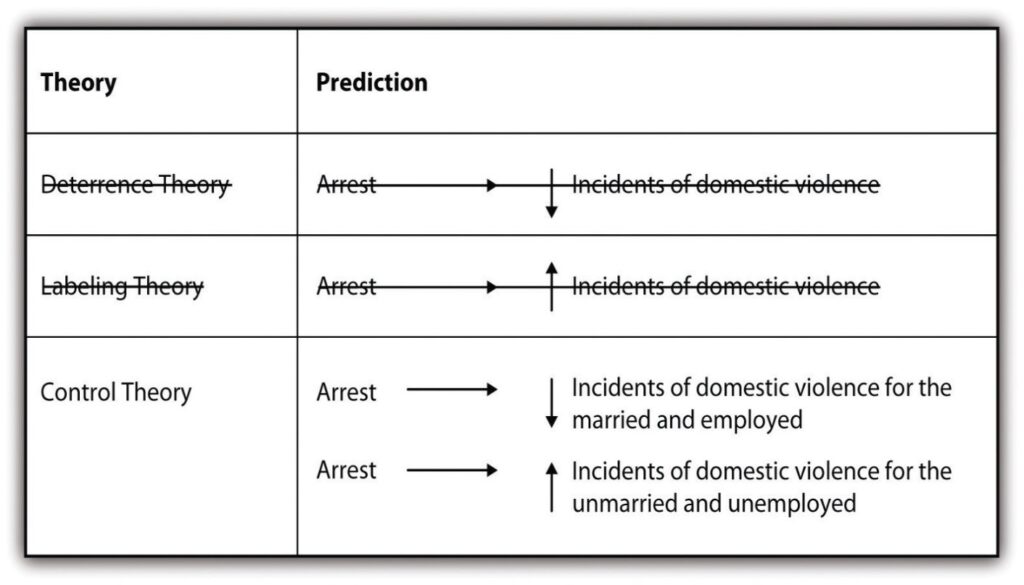 Predictions of control theory on incidents of domestic violence