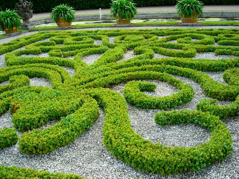Bright green hedges trimmed into a maze
