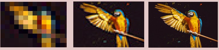 Three pictures of the same parrot, one is pixelated, one is blurry, the other is clear