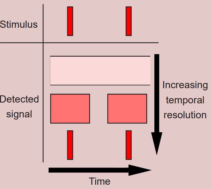 Visualization showing distinguishing two stimulus with increase temporal resolution