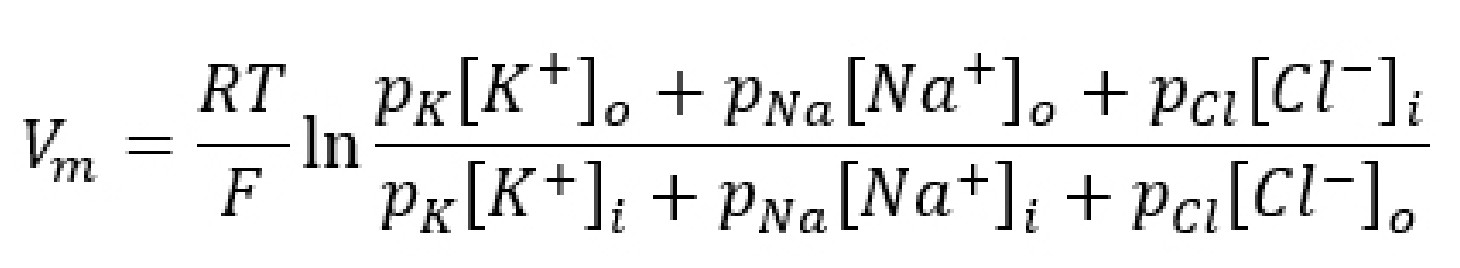 Goldman-Hodgkin-Katz equation