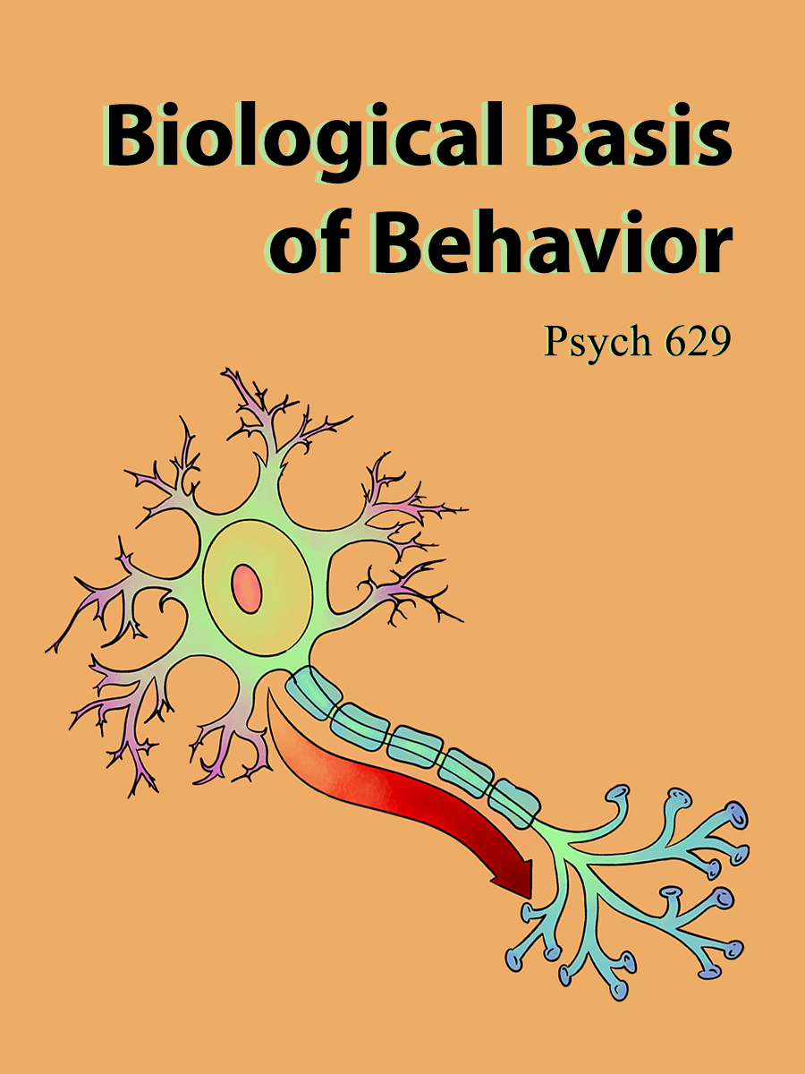 Cover image for Biological Basis of Behavior