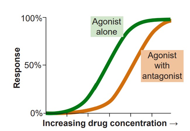 Graph visualizing response rate of agonists alone and agonists with an antagonist