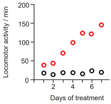 Graph showing a rats increased locomotor activity after exposure to amphetamine for a week