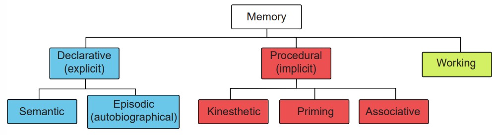 Diagram of the main types of memory and their categories: working, declarative, and procedural