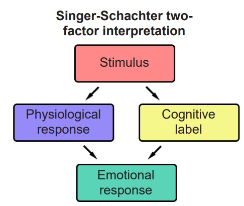 Flow chart of how stimulus is processed according to the Singer-Schachter two-factor interpretation