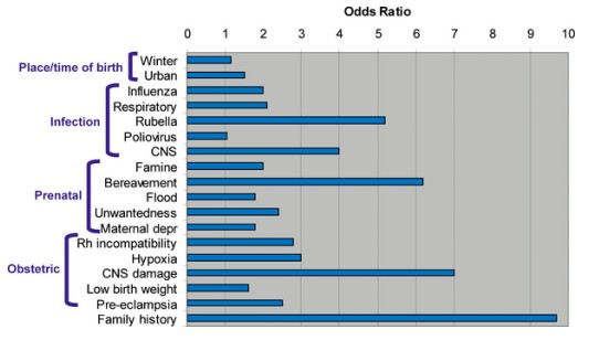 A collection of environmental factors and their odds ratio of the risk of developing schizophrenia- the top three being: family history, damage to the CNS, or prenatal bereavement