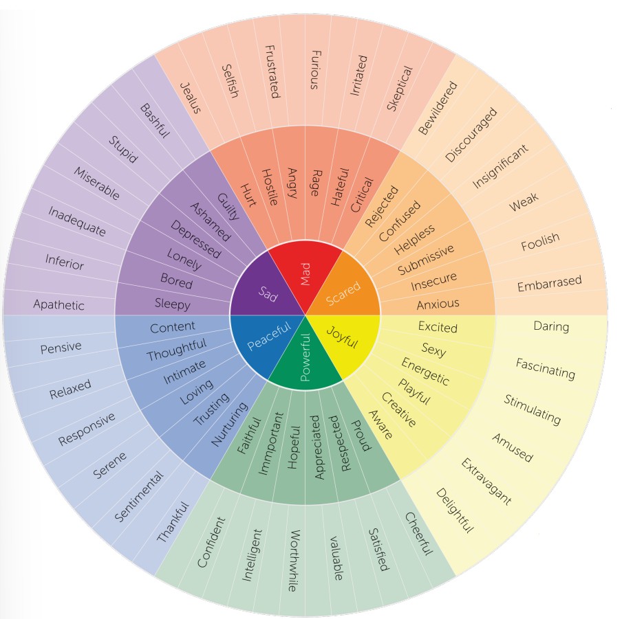 A wheel of emotions with each category given a color