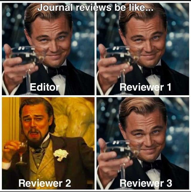 Meme with pictures of The Great Gatsby’s Leonardo DiCaprio raising a glass in support for “Editor,” “Reviewer 1,” and “Reviewer 3,” but sneering for “Reviewer 2.”